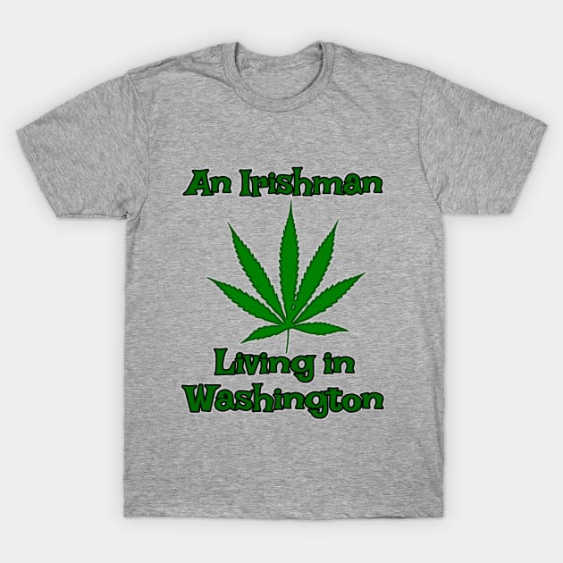 Washington Irishman T-Shirt by dragonsbait